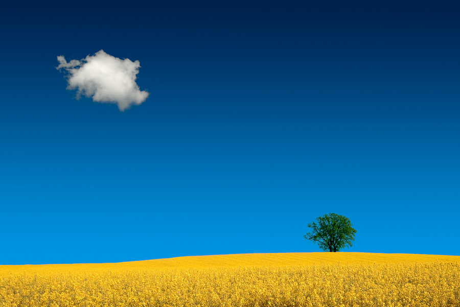 2860127362_d838ac19c1_o