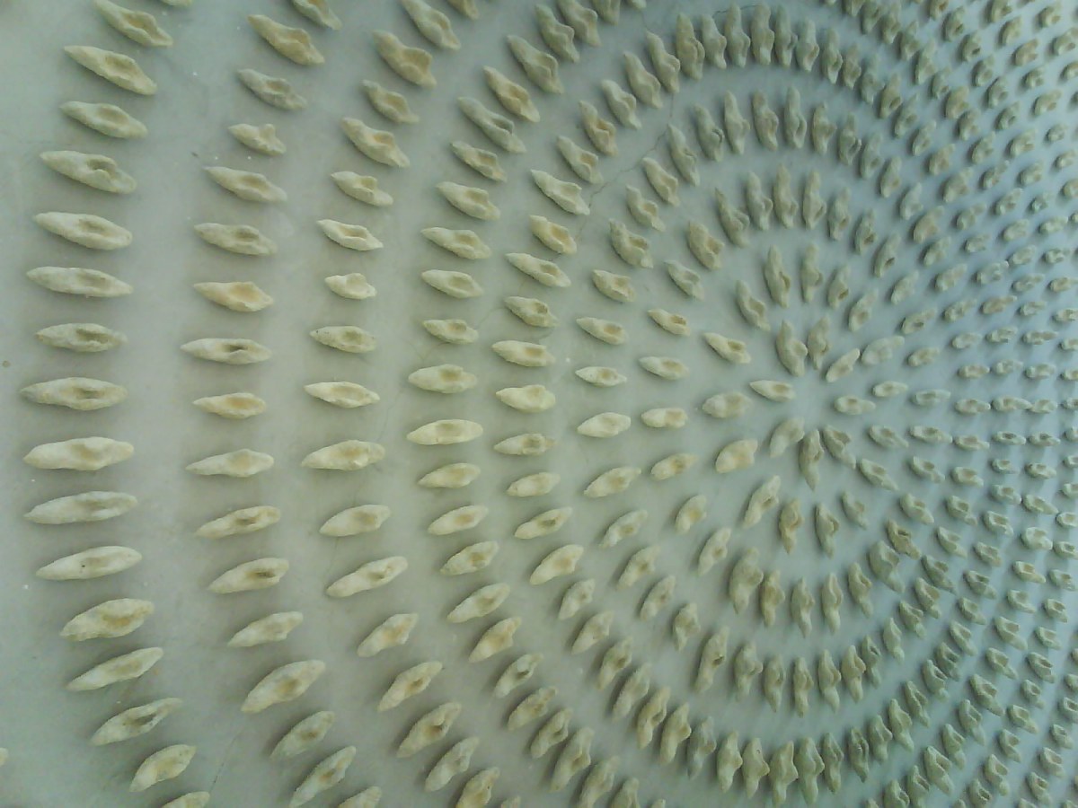 Perhentian sesaat di Seoul,&nbsp;Korea