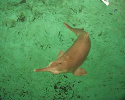 321669569_80aabd8917_o