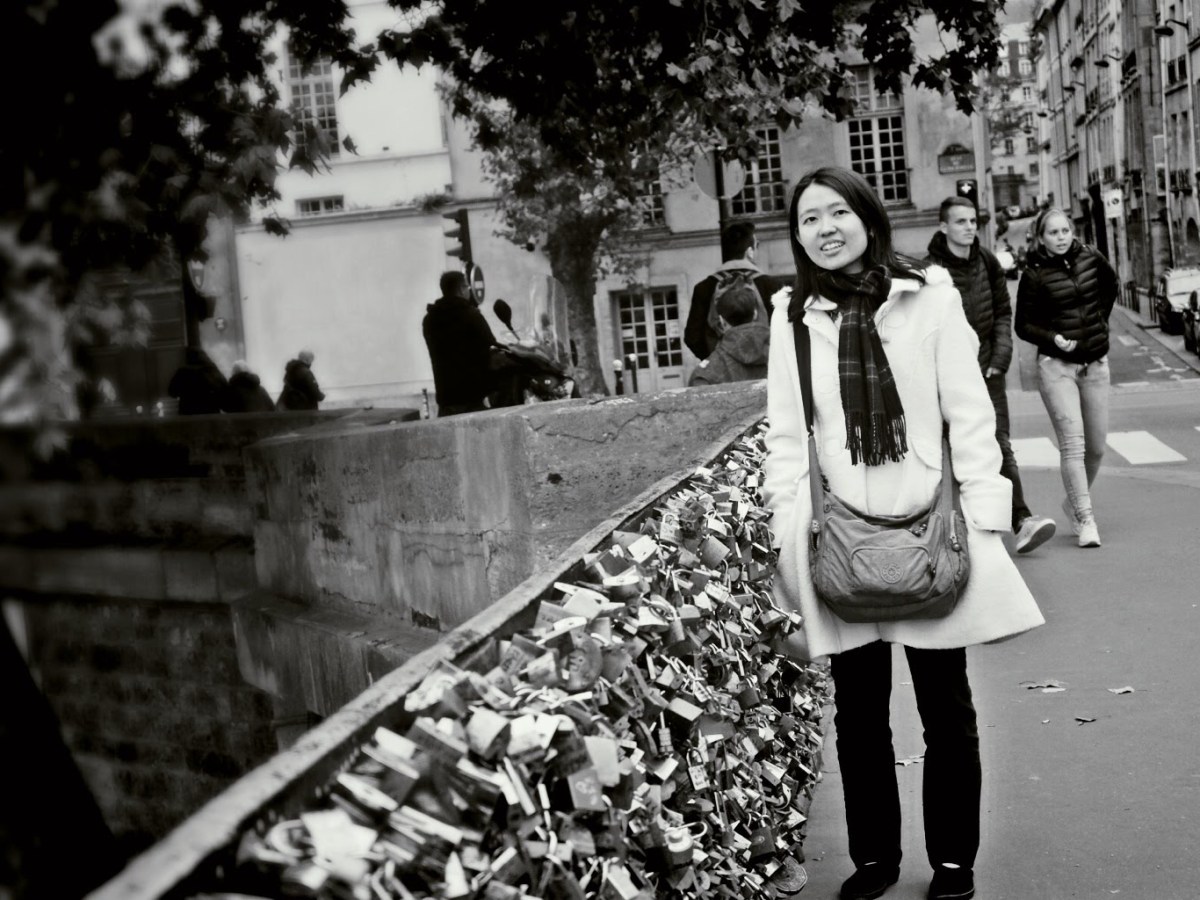 2014 – Paris – Calf, Farmer, and Swallow to Slaughter House – One lesson in year of&nbsp;9th