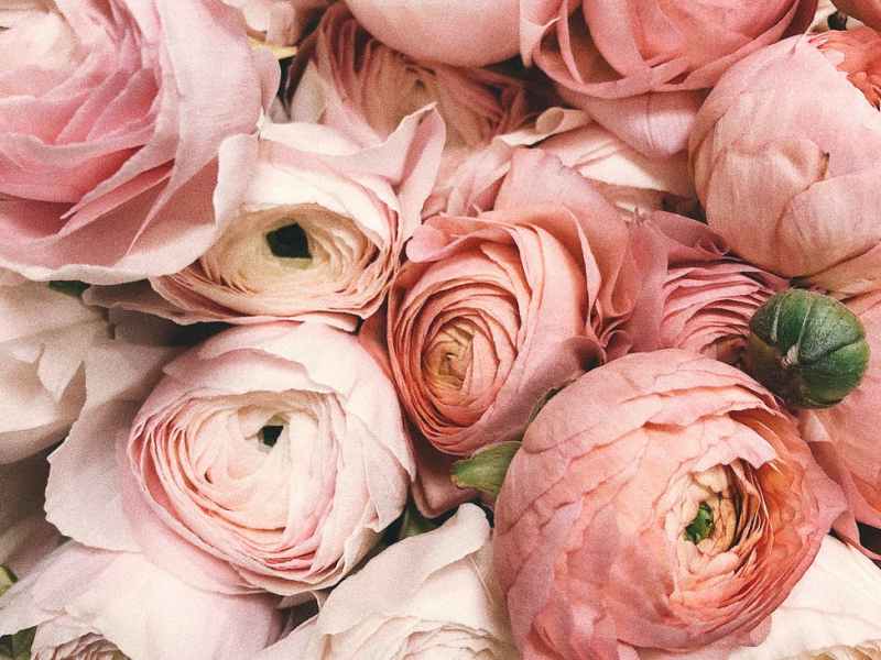 2014 – Systemic Lupus&nbsp;Erythematosus