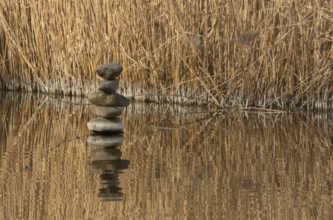 Screen Shot 2016-03-15 at 12.54.19 AM