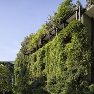 Kandalama, Geoffrey Bawa’s later masterpiece and content of being&nbsp;honest