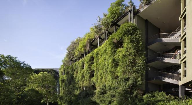 Though the west wing is visible from the entrance road, it was heavily camouflaged by planting in order to minimize its visual impact on the arriving guest so it ultimately does not detract significantly from Bawa's designed approach.