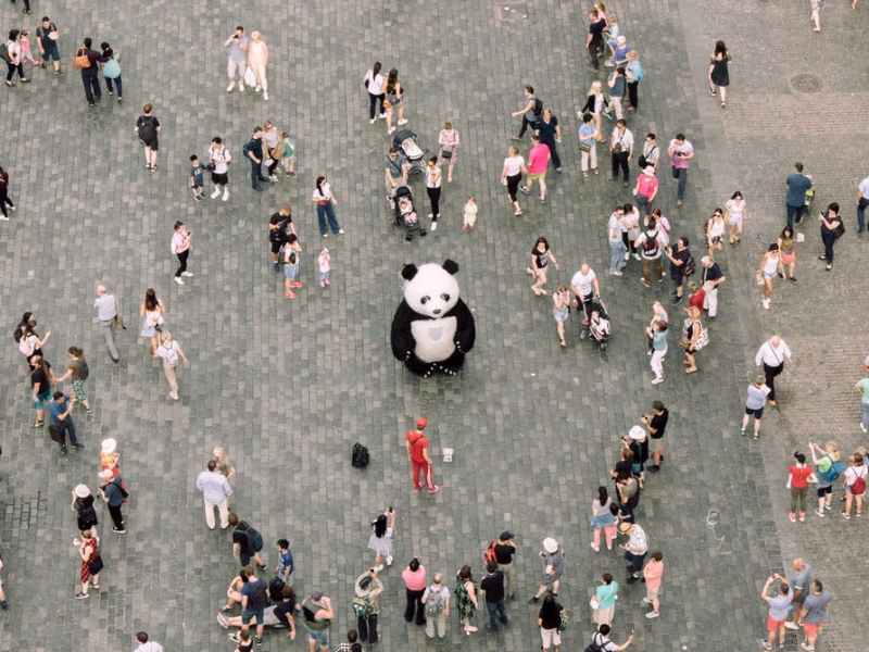 Forming the Gift&nbsp;Society