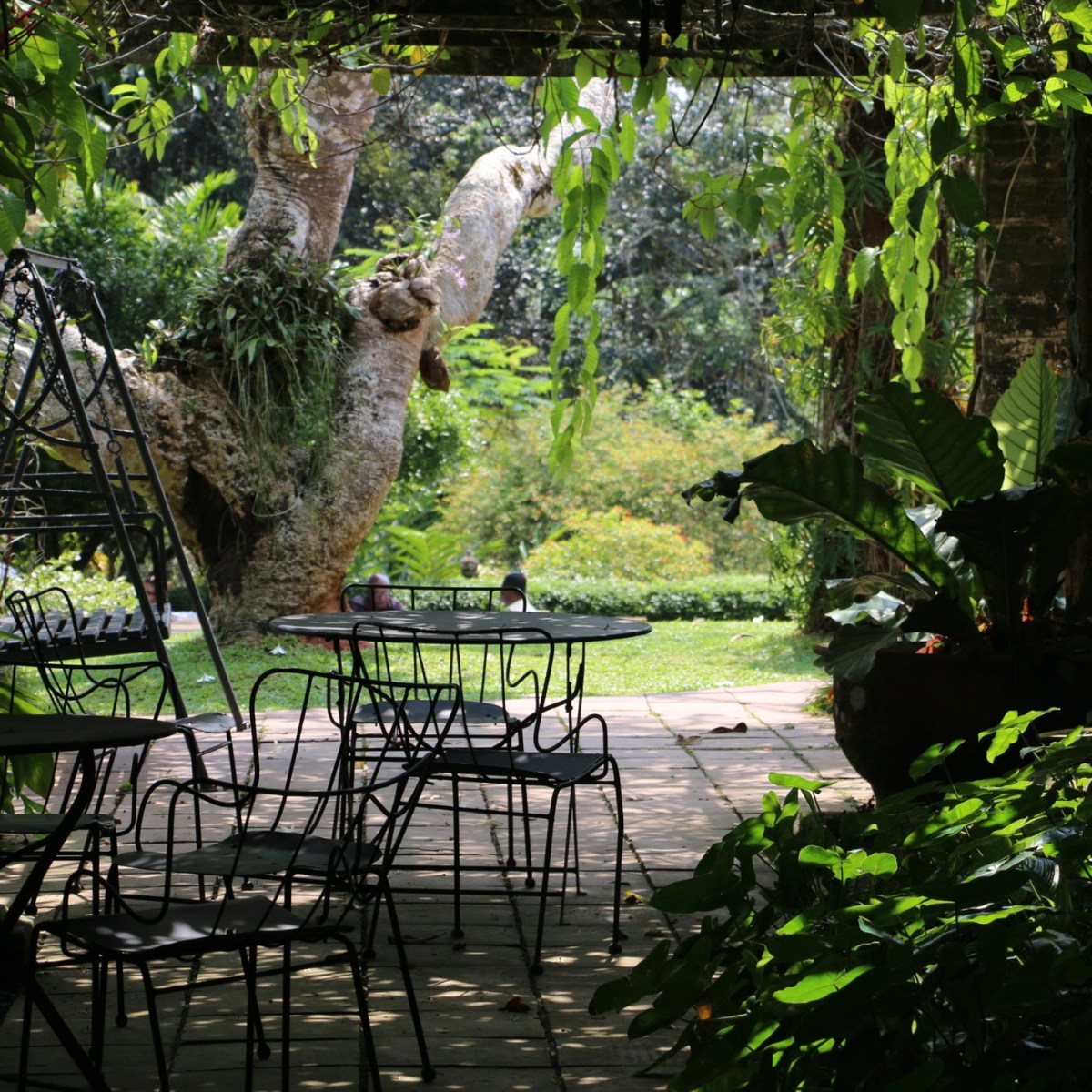 “Brothering” Geoffrey and Bevis Bawa, Perjalanan Dukung Mendukung dalam&nbsp;Bersaudara.