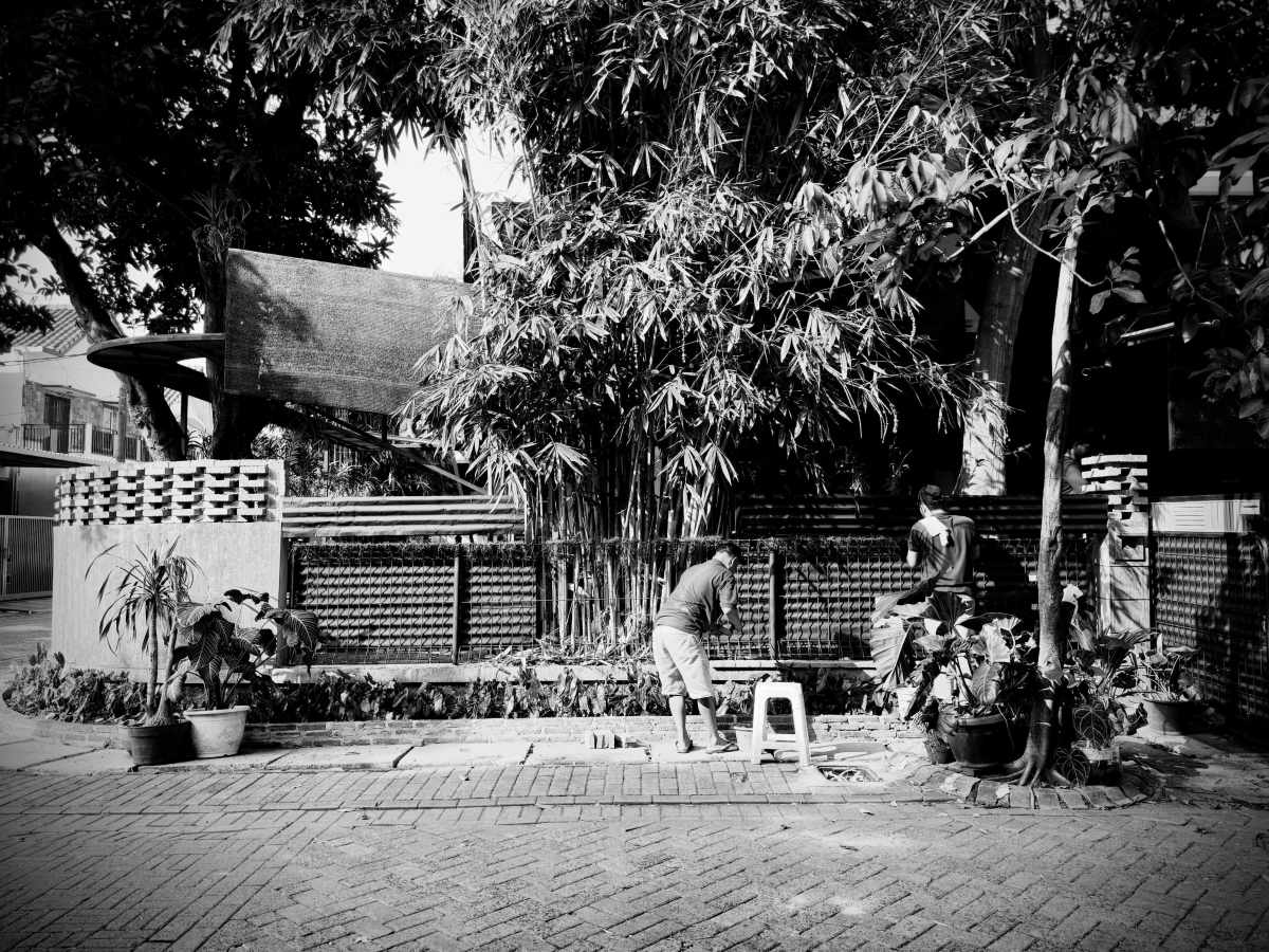 Sekolah yang Tidak Meminta&nbsp;Ijazah
